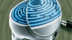 psicologia forense divulgacao lisboa